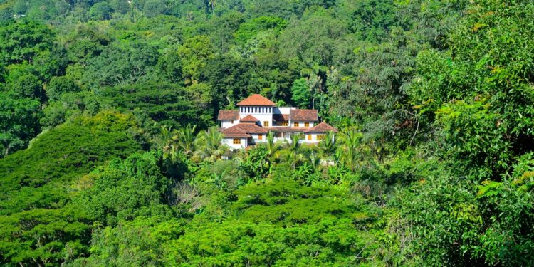 In the jungle of Sri Lanka you will find this artistic hideaway