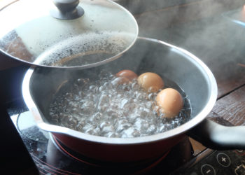 This is the right way to boil an egg
