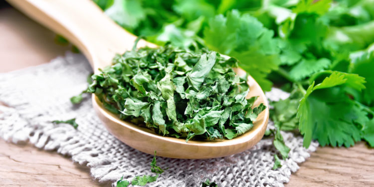 How to dry coriander at home