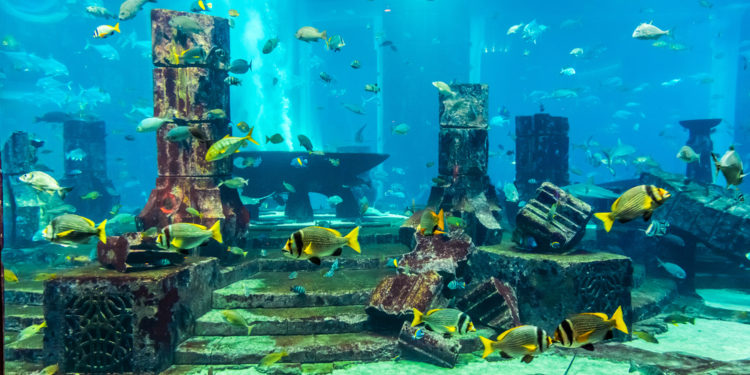 Travelers are getting a truly exciting experience at this unique hotel