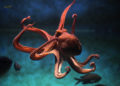 Eight tentacles, three hearts: alien wonders of the octopus